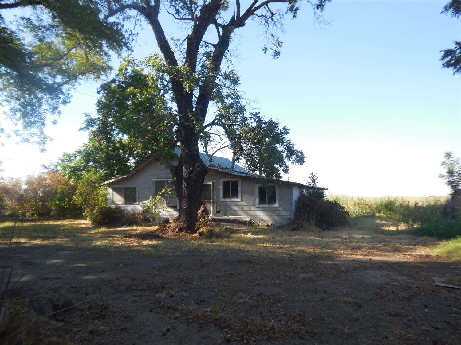 4th Street, Biggs, California image 3