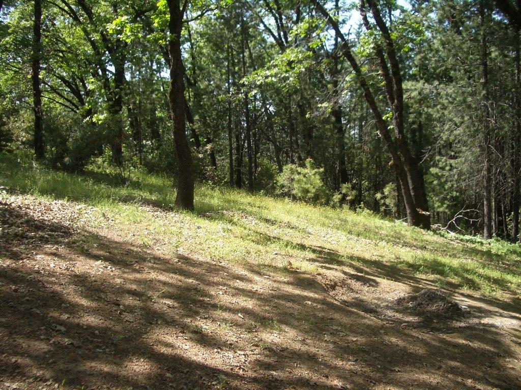 Photo of 2420 Pleasant Valley Rd in Placerville, CA
