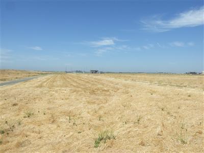 Metro Air Parkway, Sacramento, California image 2