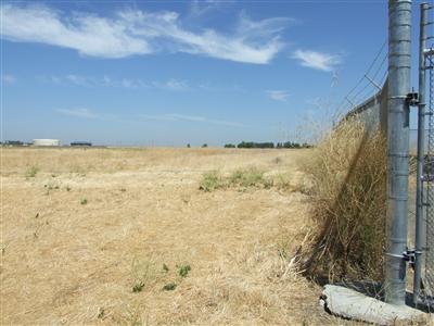 Metro Air Parkway, Sacramento, California image 1