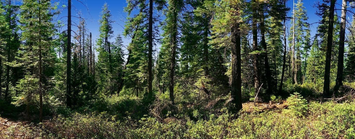 Photo of 30410 N Bloomfield-Graniteville Rd in Nevada City, CA