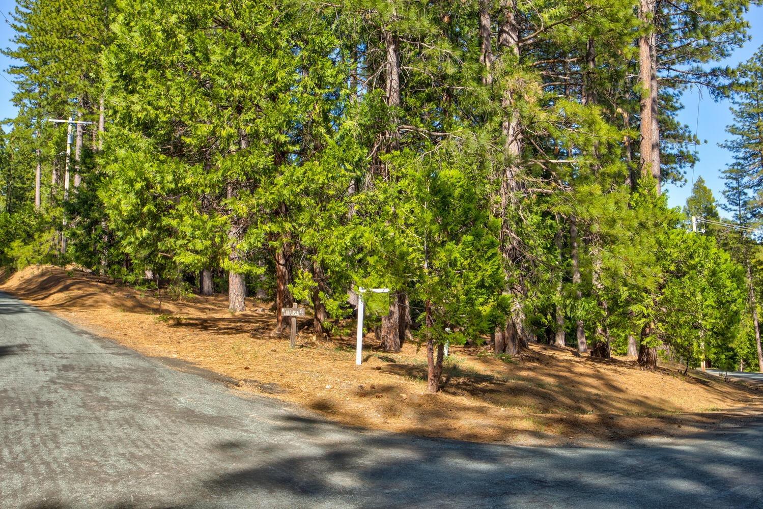 Photo of Chaparral Dr in Pioneer, CA