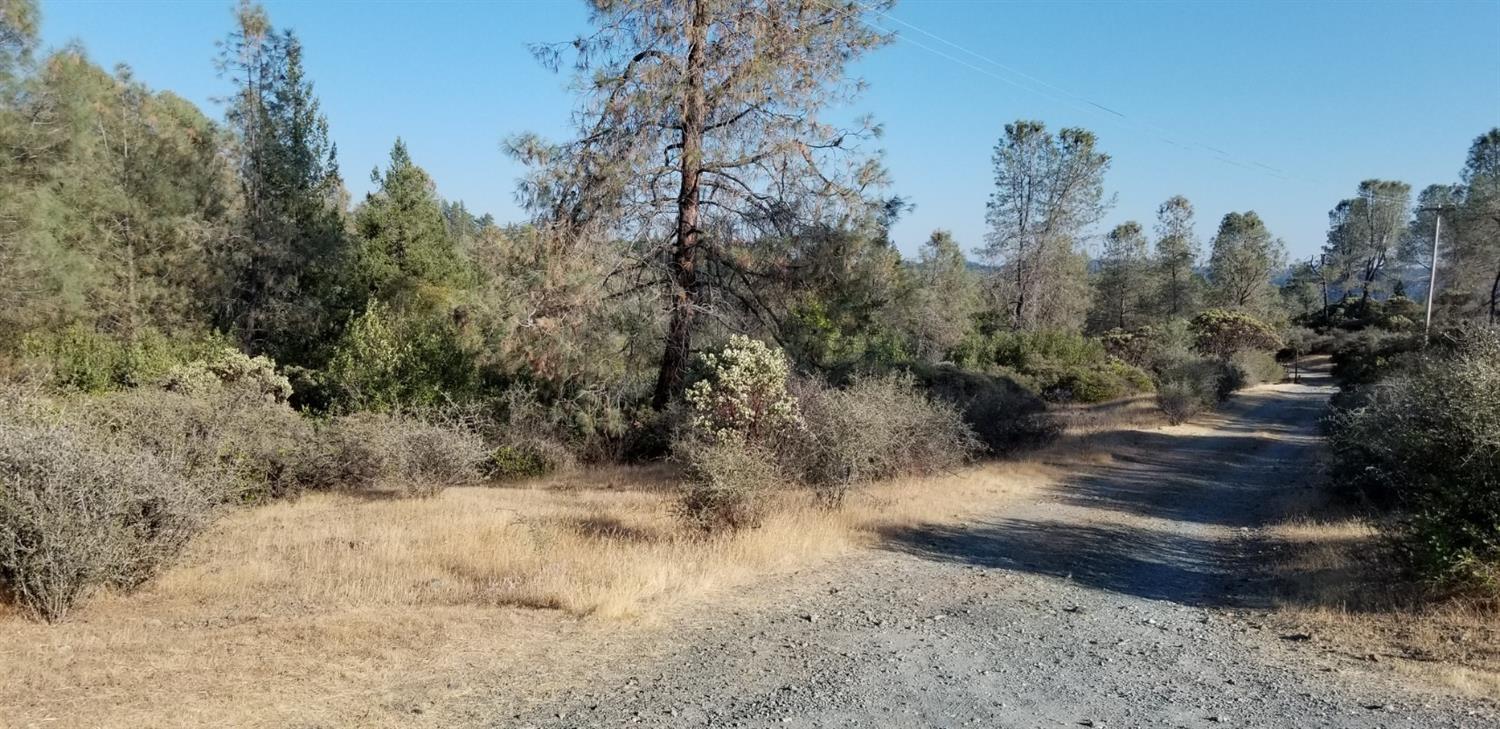 A strait on view of the driveway - property being on both sides of it, runing at a leftward angle from right to left across driveway.  Gate in far distance at back of driveway is entrance to the South west neighboring parcel. 6235 Mc Keon Ponderosa. 