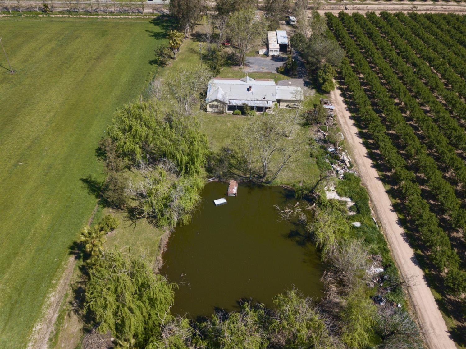 Detail Gallery Image 1 of 1 For 25280 Dodds Rd, Escalon,  CA 95320 - 3 Beds | 1/2 Baths