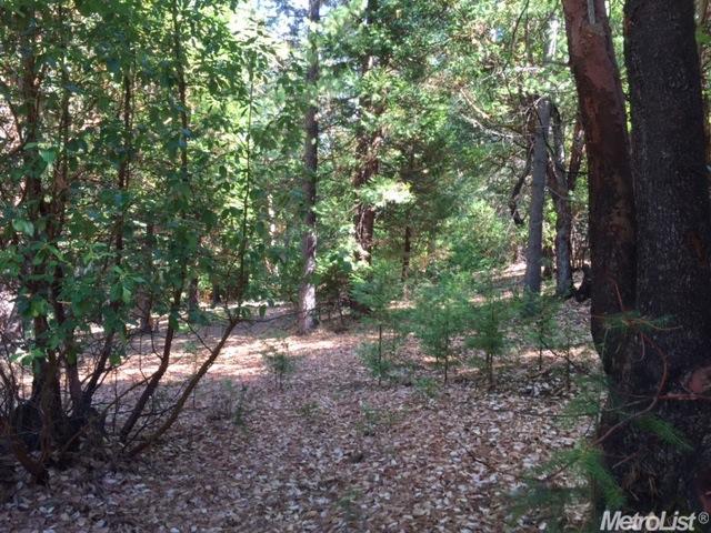Photo of 16920 Golf Links Ct in Pioneer, CA