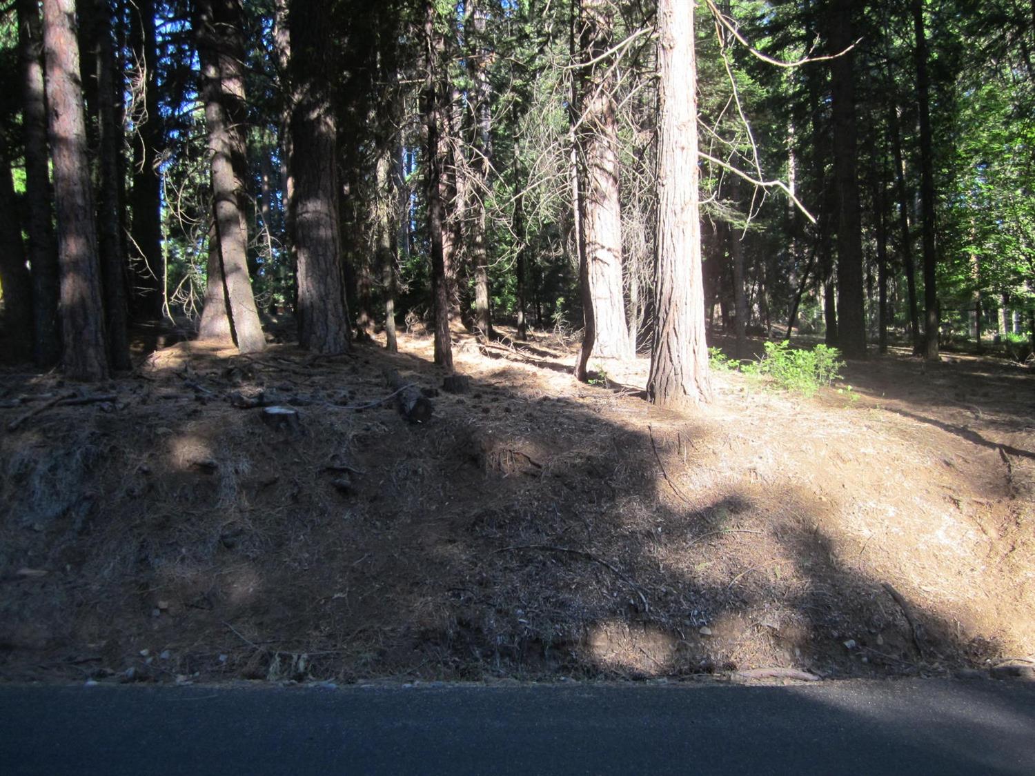 Tyler Drive, Grizzly Flats, California image 3