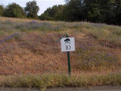 Photo of 3225-(Lot 10) Rustic Woods Ct in Loomis, CA