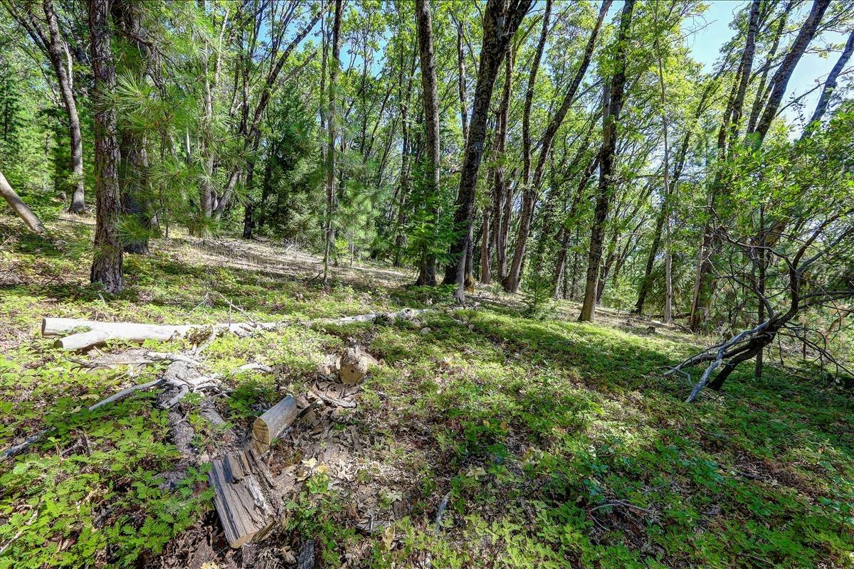Photo of 14212 Sontag Rd in Grass Valley, CA