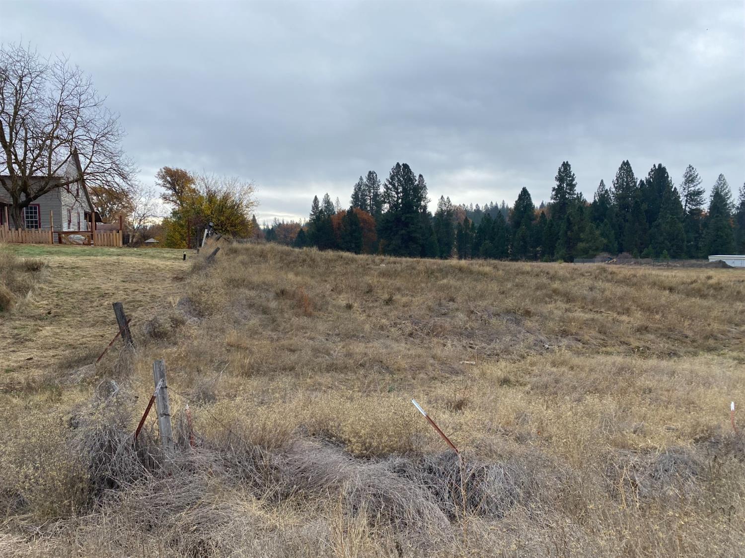 Greeley Hill Road, Coulterville, California image 6