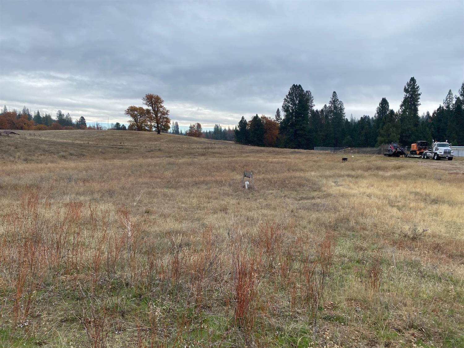 Greeley Hill Road, Coulterville, California image 3