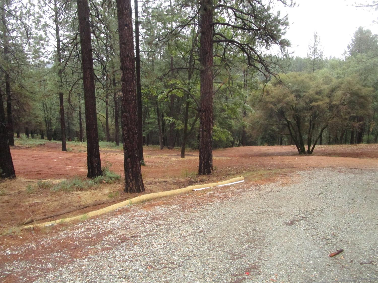 Carrington Lane, Grass Valley, California image 7