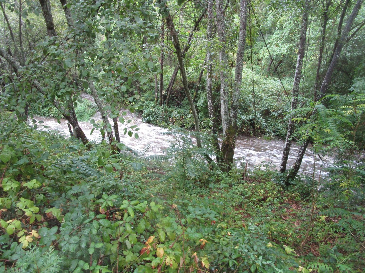 Carrington Lane, Grass Valley, California image 3