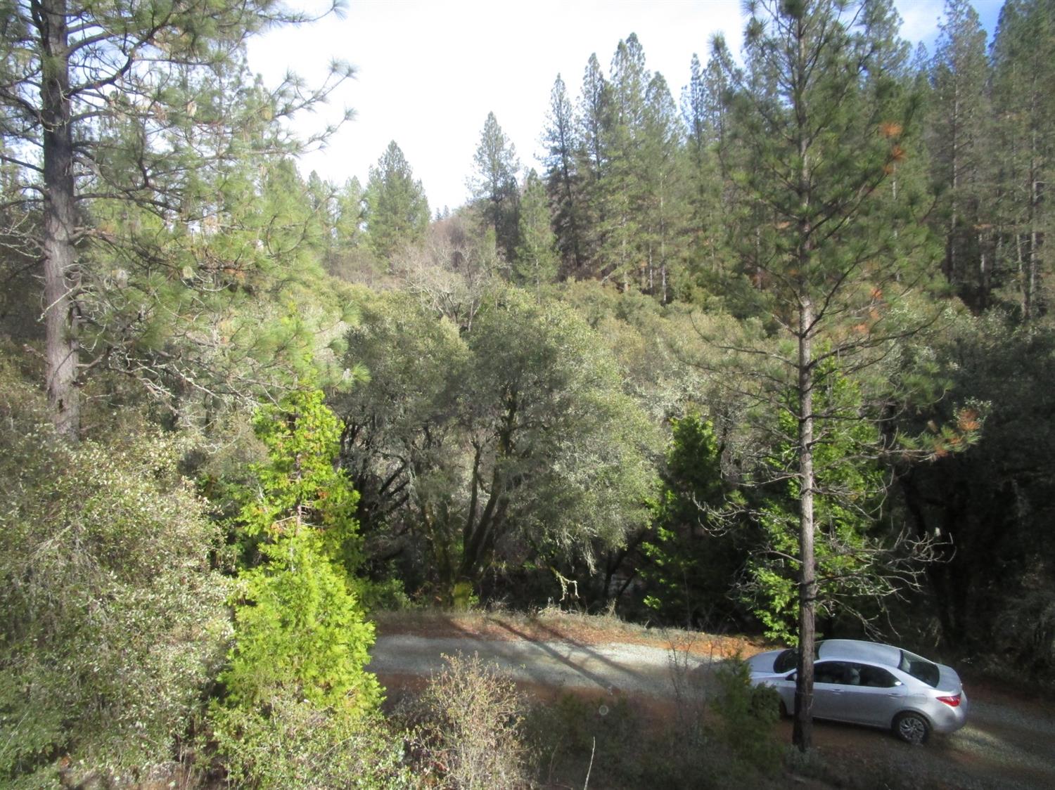 Carrington Lane, Grass Valley, California image 11