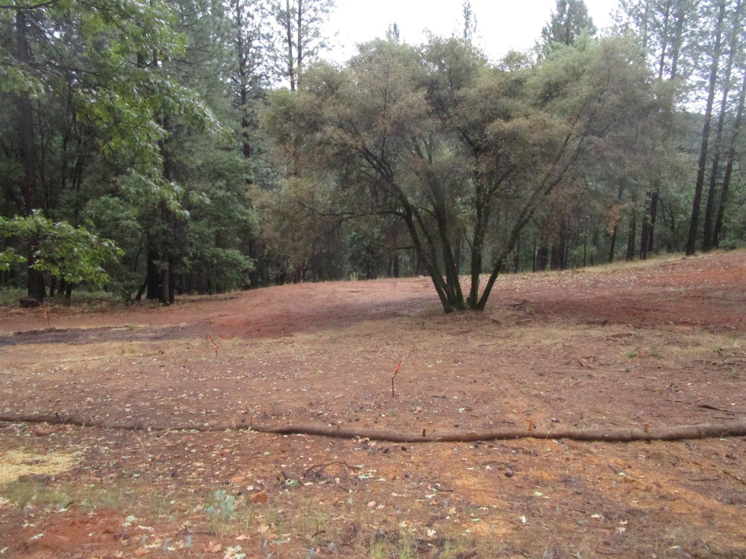 Carrington Lane, Grass Valley, California image 13