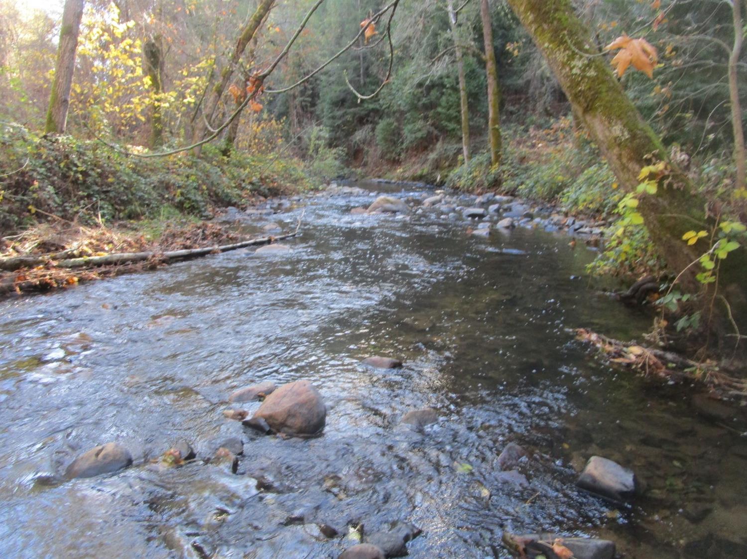 Carrington Lane, Grass Valley, California image 1