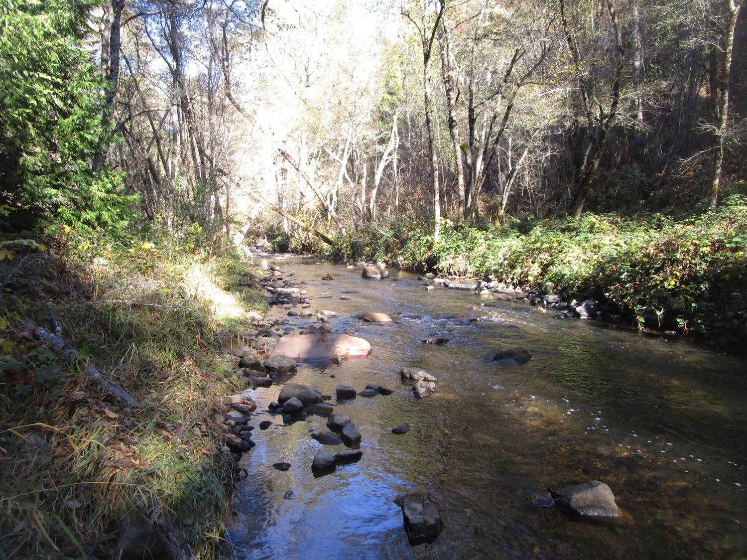 Carrington Lane, Grass Valley, California image 4