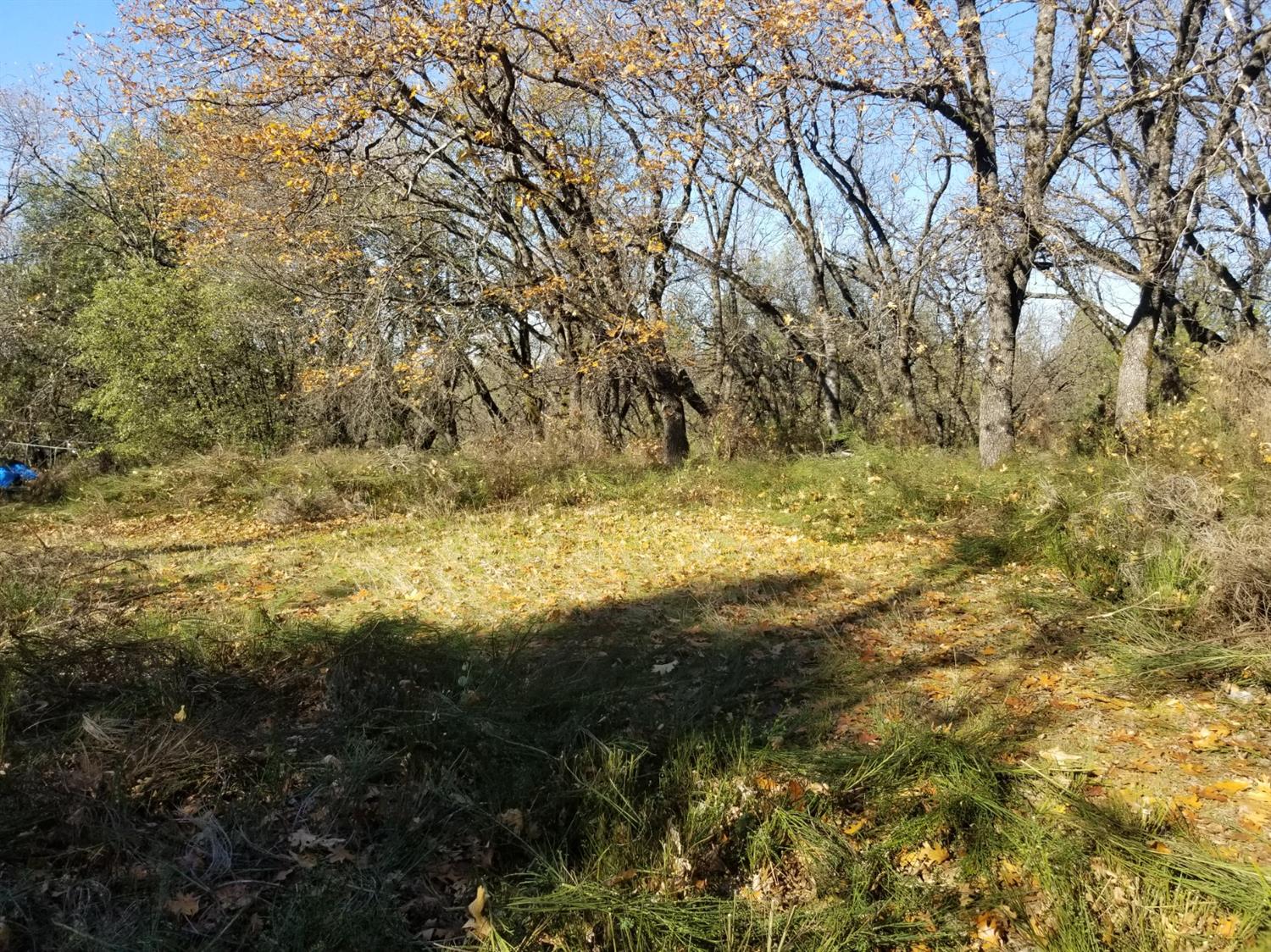 Knoll Top Property in Eden Valley. 3-acre wooded parcel in Eden Valley surrounded by High End Homes. Remove some trees & expose long-range views for your dream home. Well and electricity are in & septic tests dated from 1990. Come see this awesome opportunity!