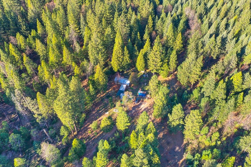 Photo of 24825 Harrison St in Foresthill, CA