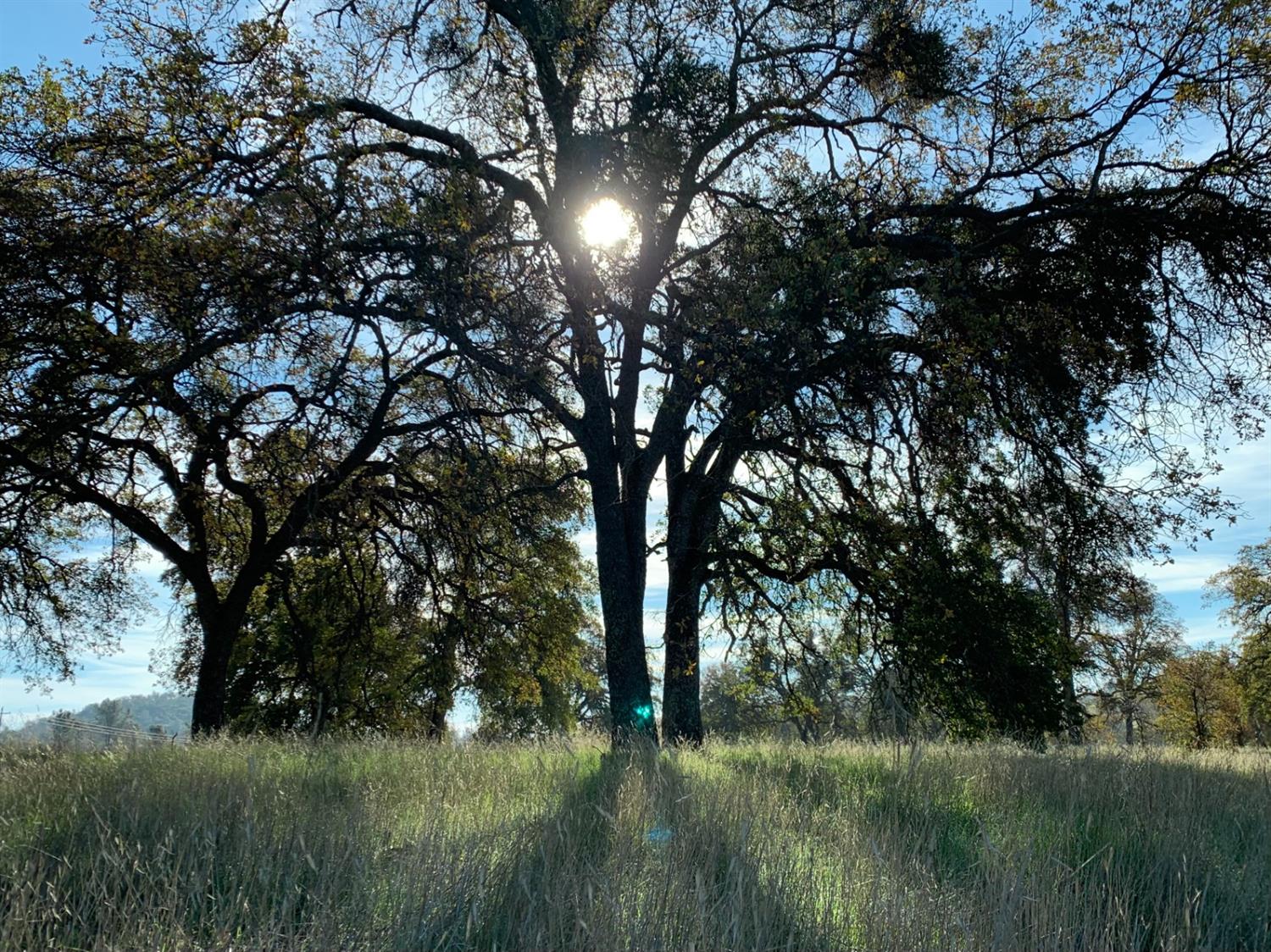 Highway 4, Angels Camp, California image 2
