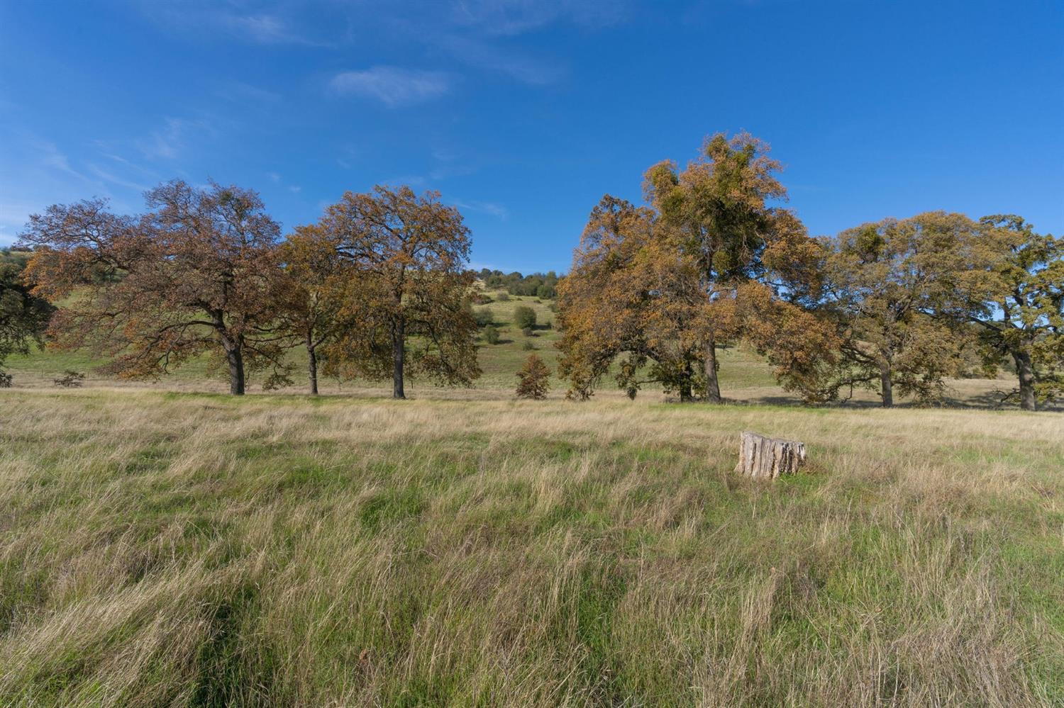 Highway 4, Angels Camp, California image 13