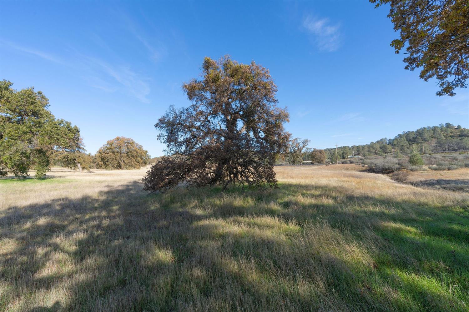 Highway 4, Angels Camp, California image 23