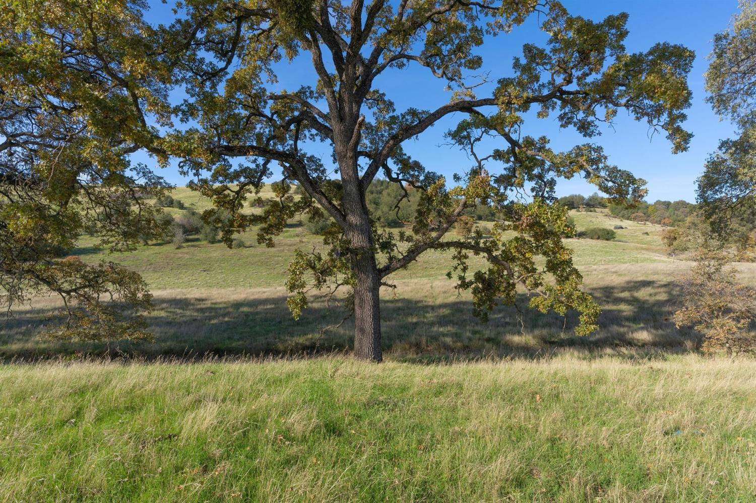 Highway 4, Angels Camp, California image 8