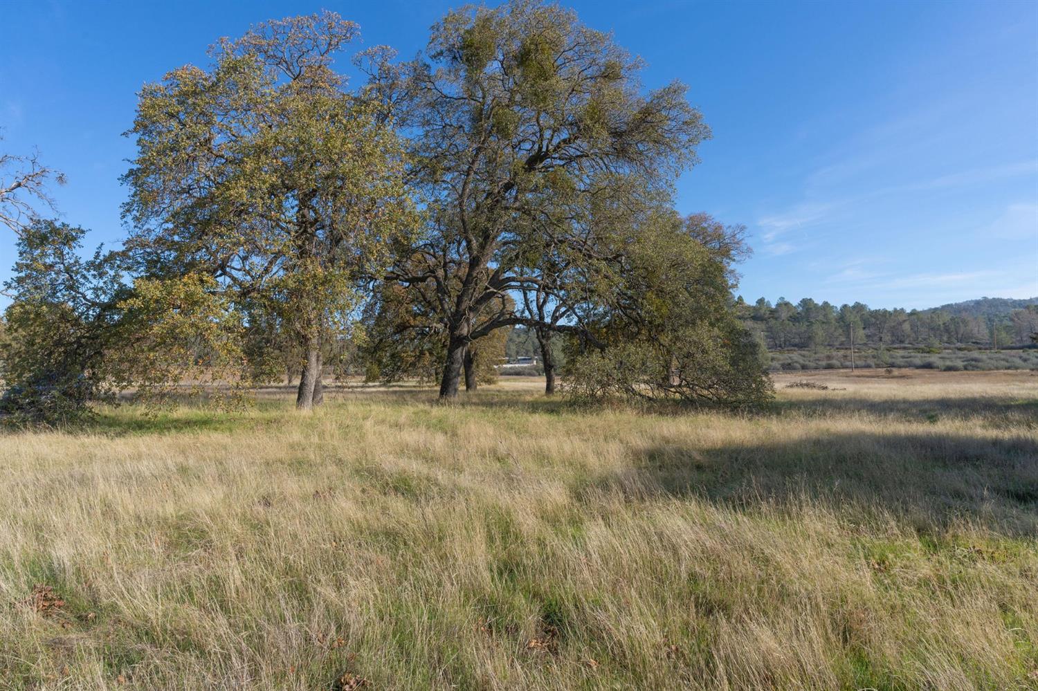 Highway 4, Angels Camp, California image 11
