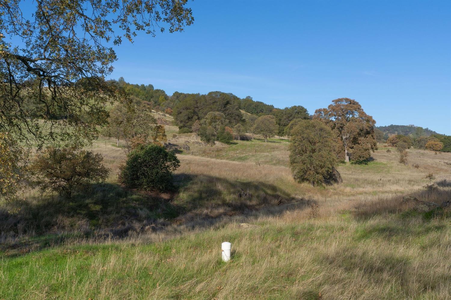 Highway 4, Angels Camp, California image 5