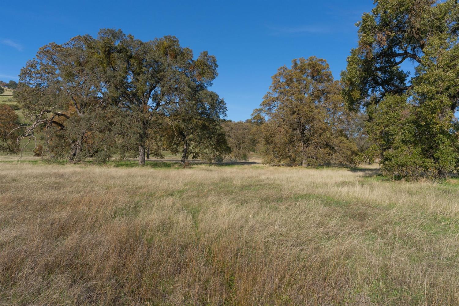 Highway 4, Angels Camp, California image 29