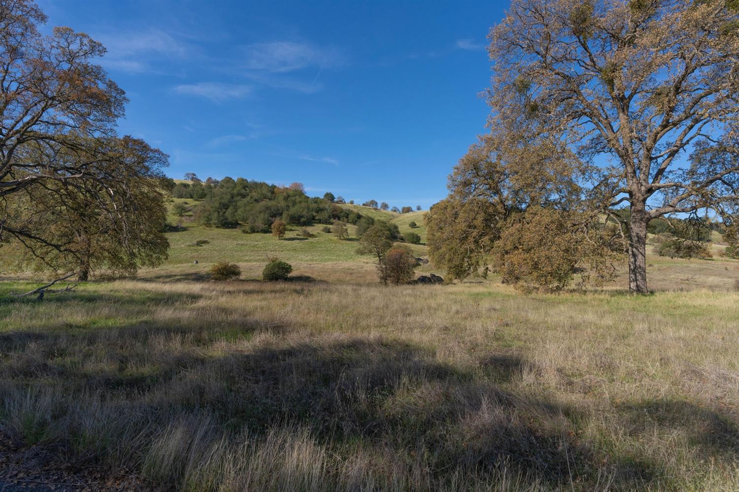 Highway 4, Angels Camp, California image 36