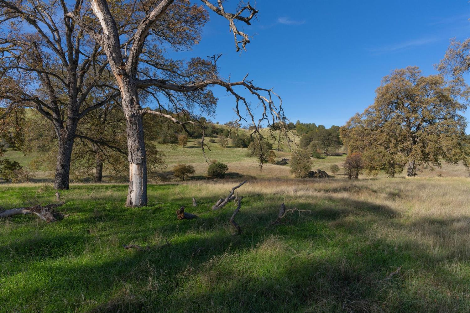 Highway 4, Angels Camp, California image 33