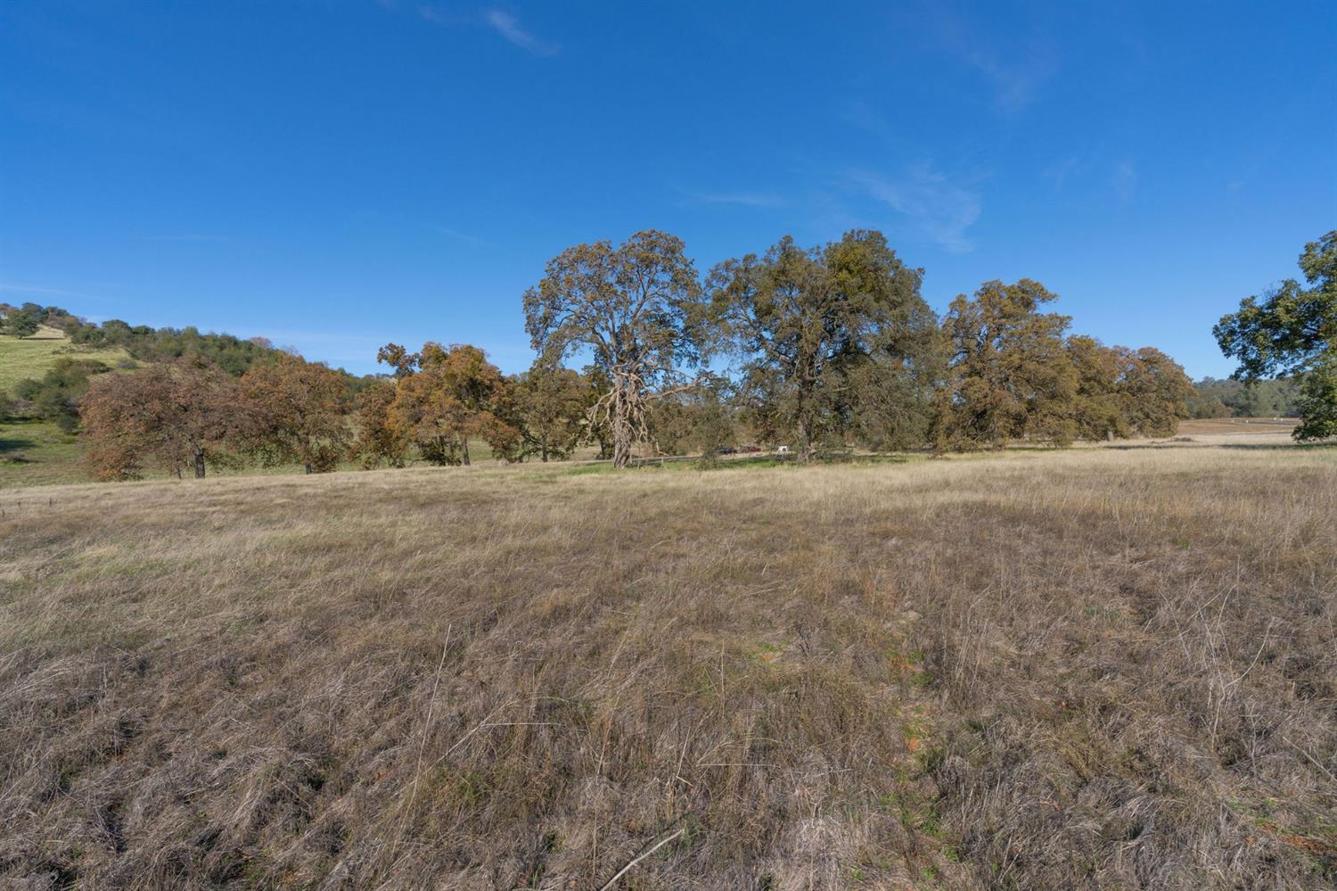 Highway 4, Angels Camp, California image 16