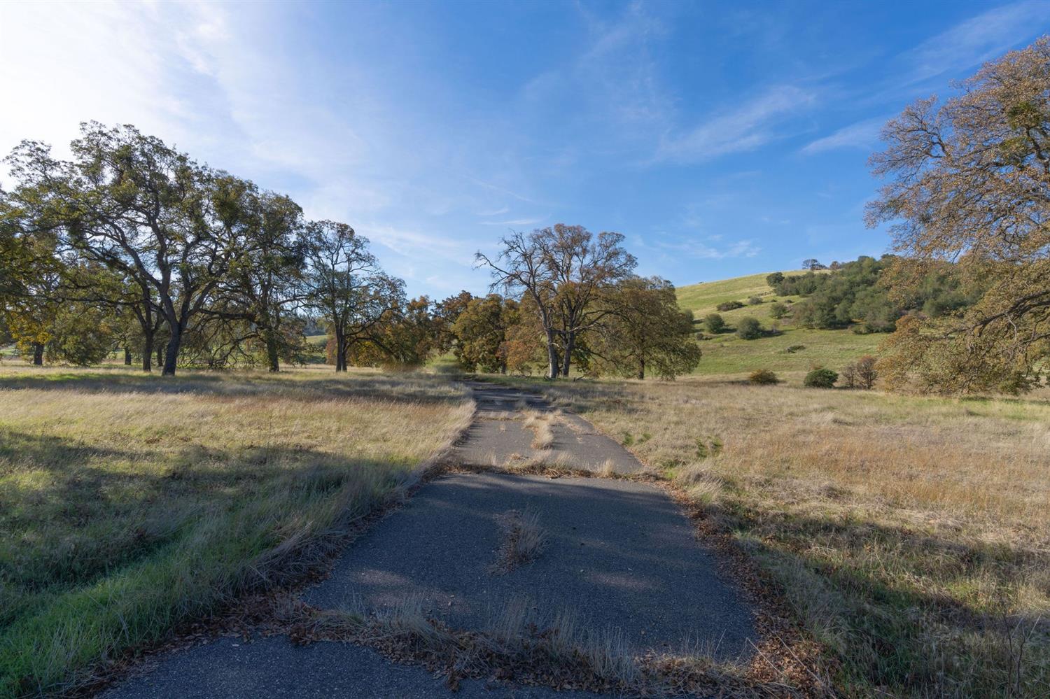Highway 4, Angels Camp, California image 38