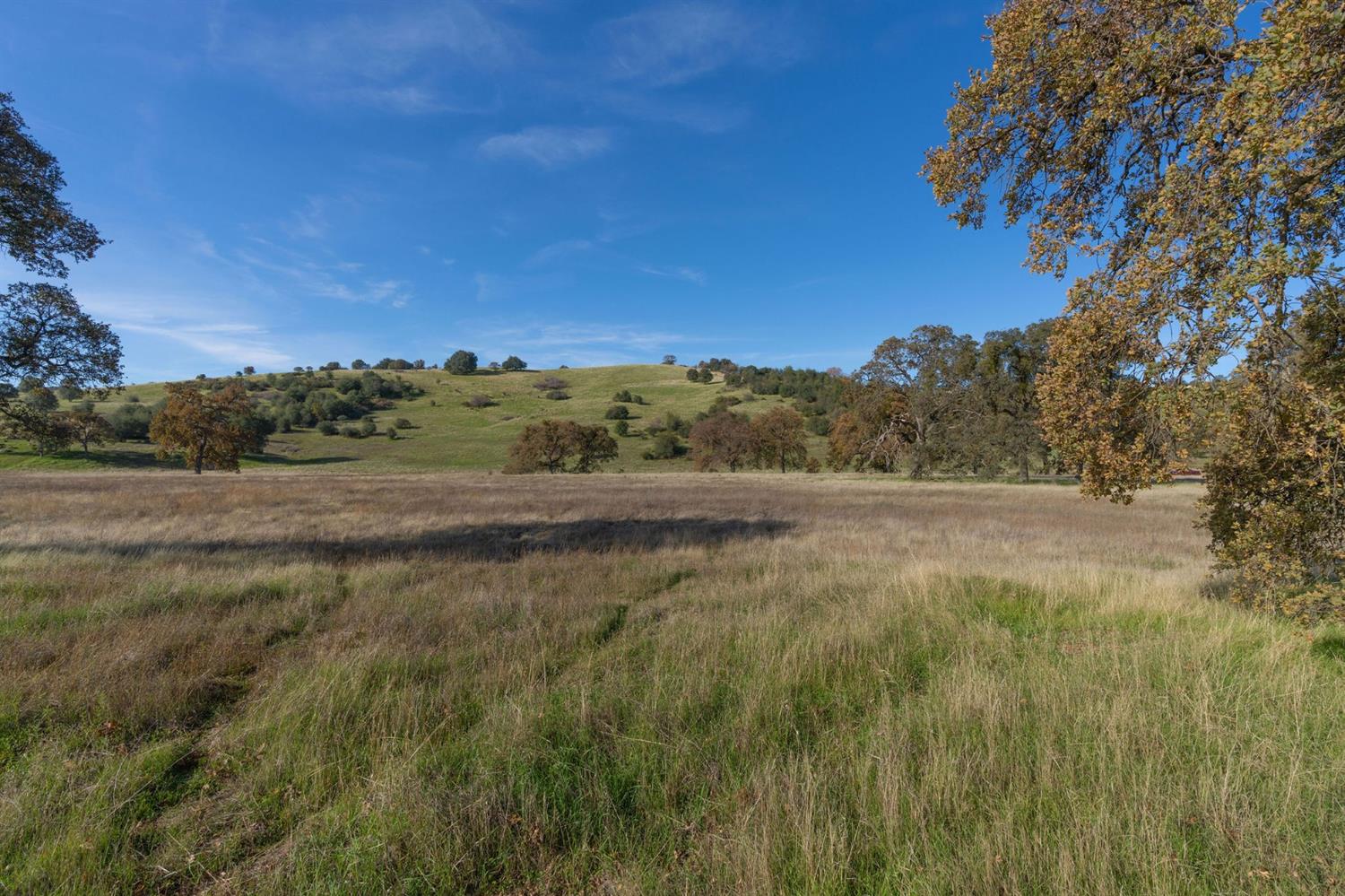 Highway 4, Angels Camp, California image 20