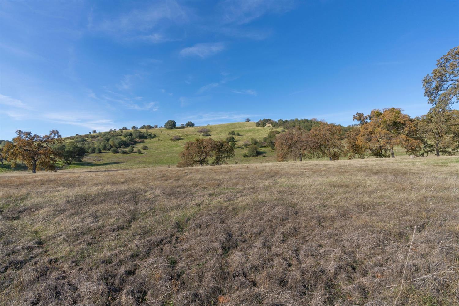 Highway 4, Angels Camp, California image 14