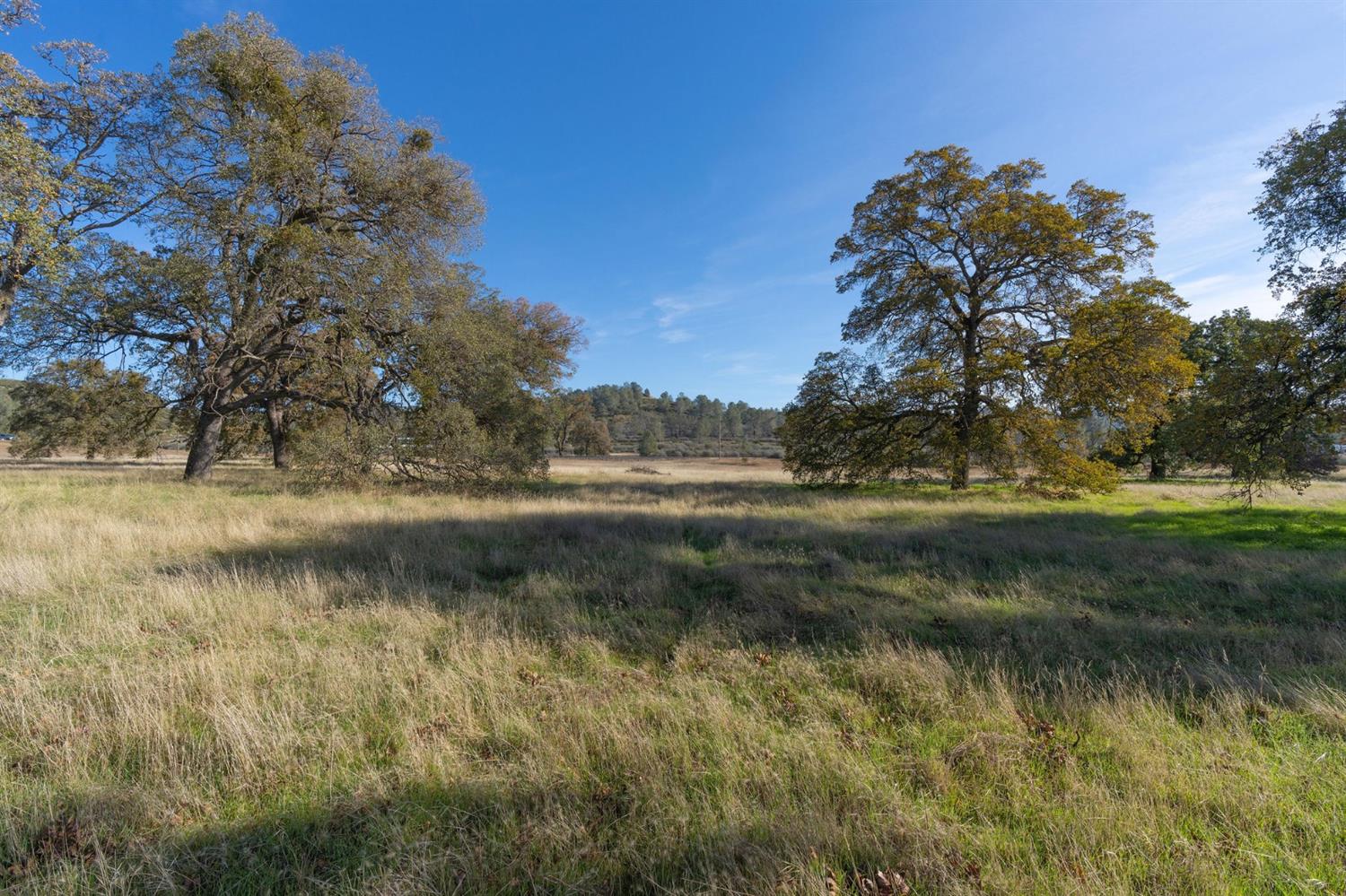Highway 4, Angels Camp, California image 31