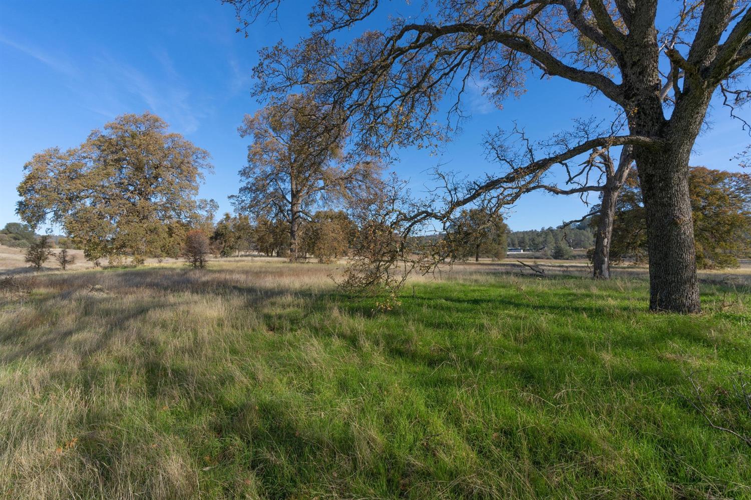 Highway 4, Angels Camp, California image 7