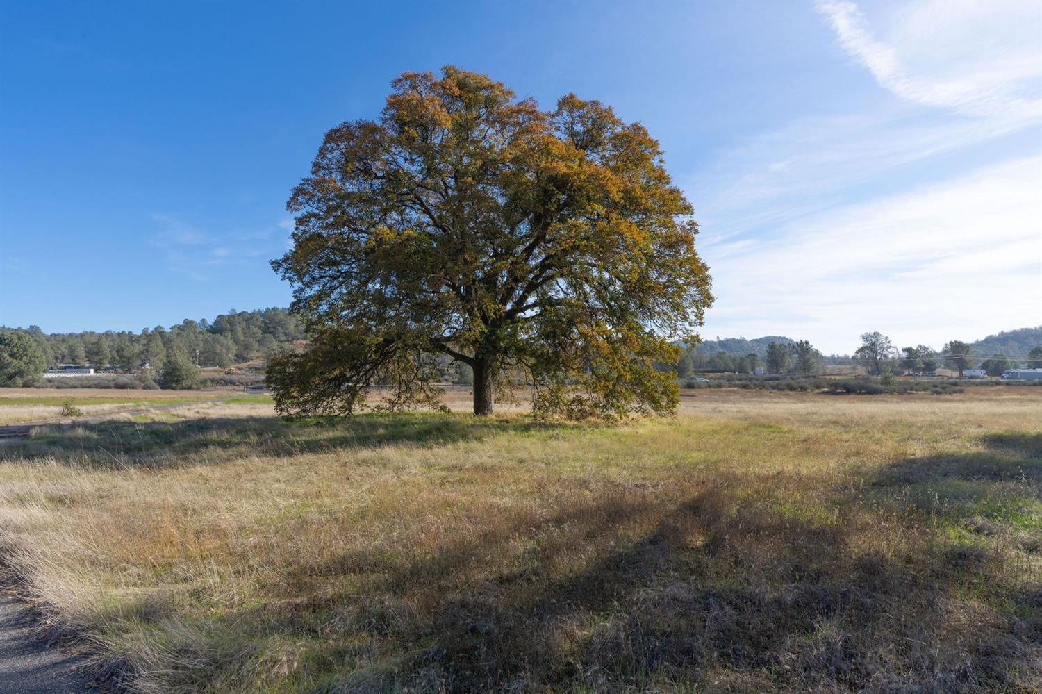 Highway 4, Angels Camp, California image 35