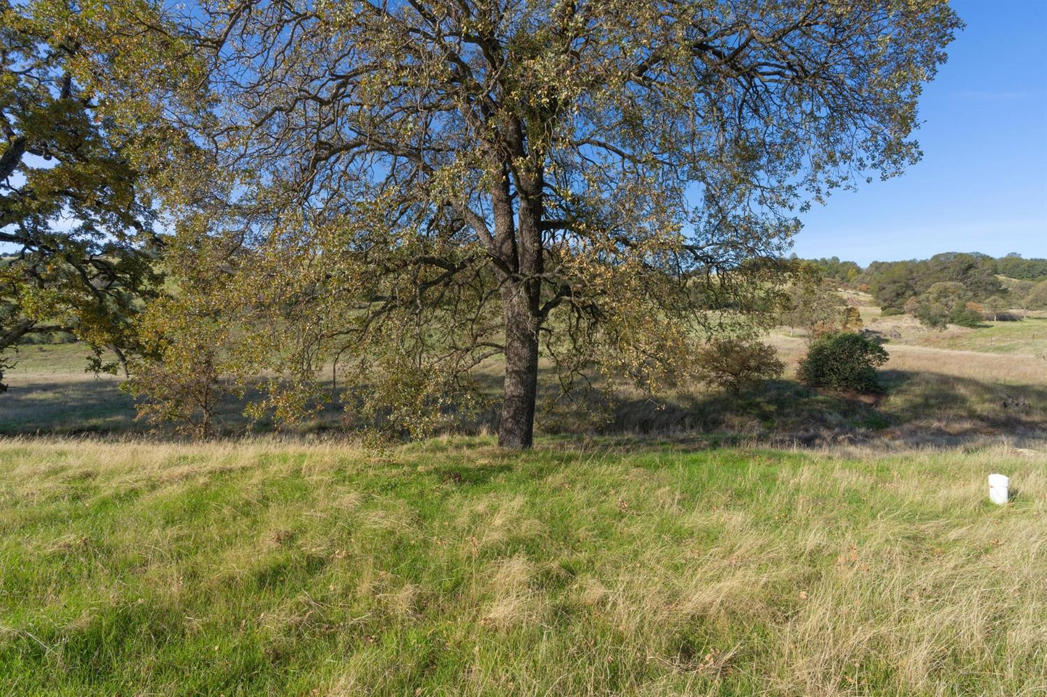 Highway 4, Angels Camp, California image 6