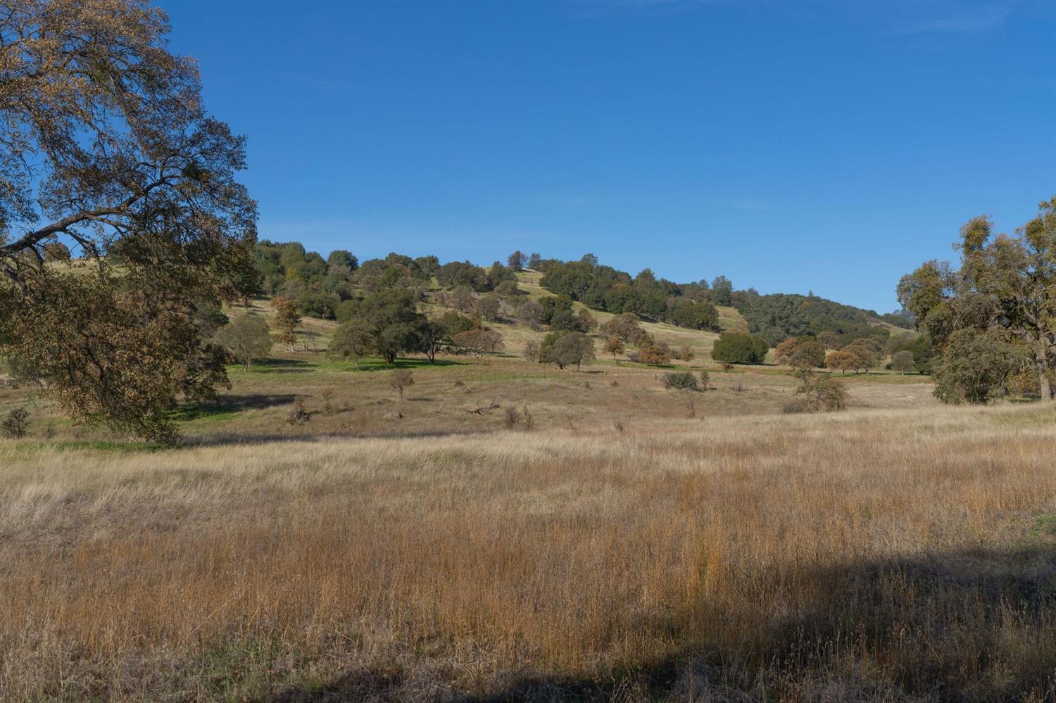 Highway 4, Angels Camp, California image 37