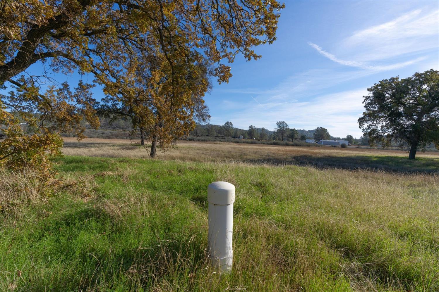Highway 4, Angels Camp, California image 17