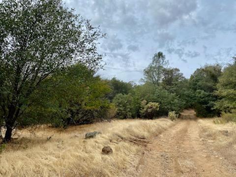 0 Fire Camp Road, Oroville, CA 95966