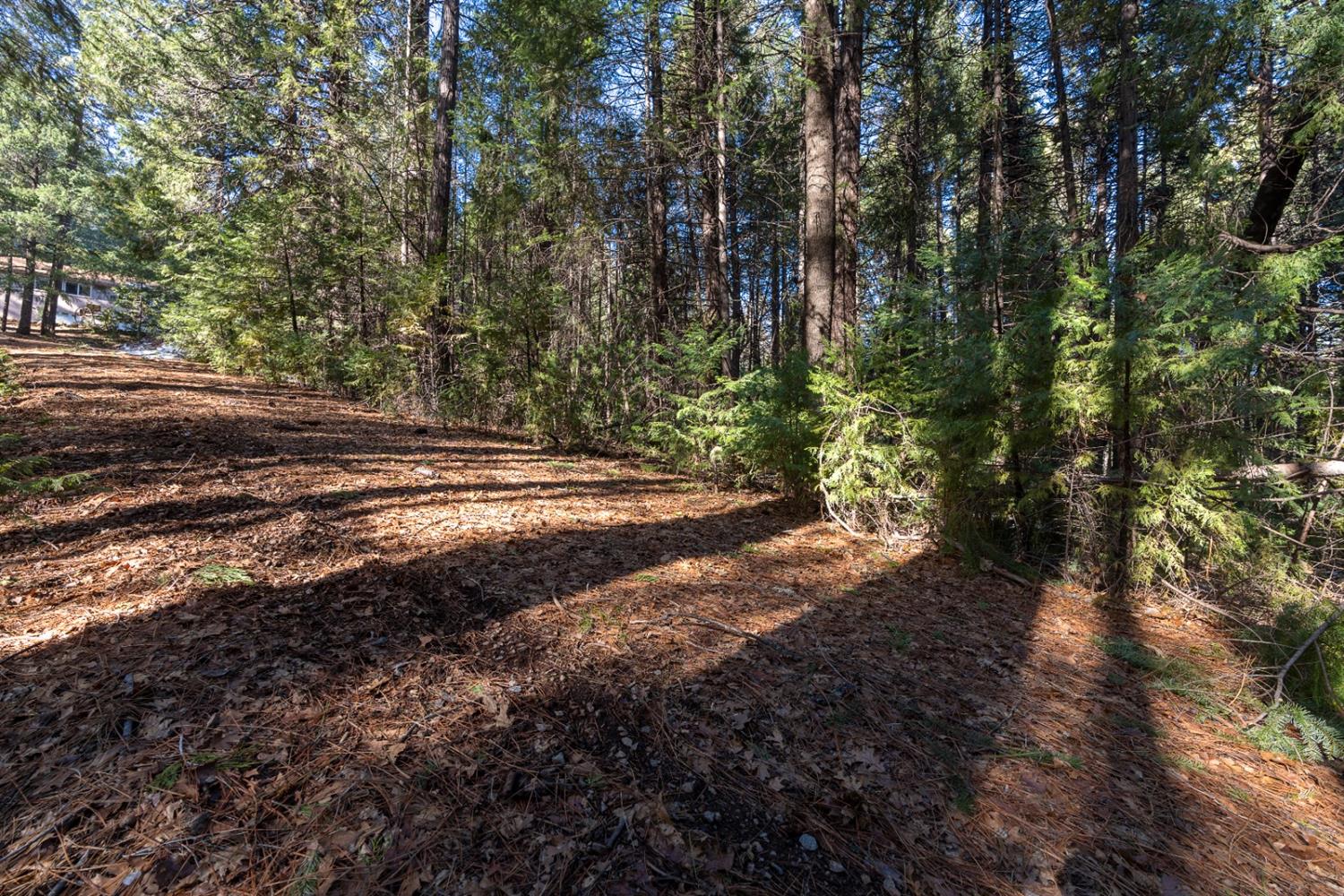 Detail Gallery Image 1 of 1 For 12949 Blue Jay Hill Rd, Grass Valley,  CA 95945 - – Beds | – Baths