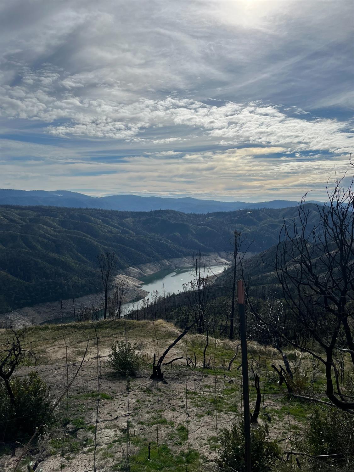 Photo of Oro Vista Dr in Berry Creek, CA