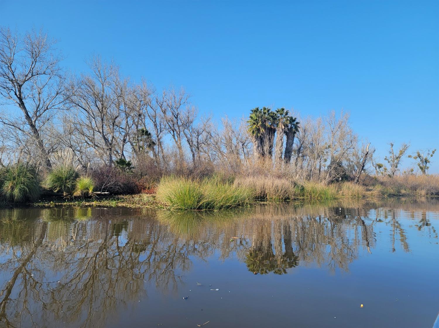 Photo of 10588 W Rindge Rd in Stockton, CA