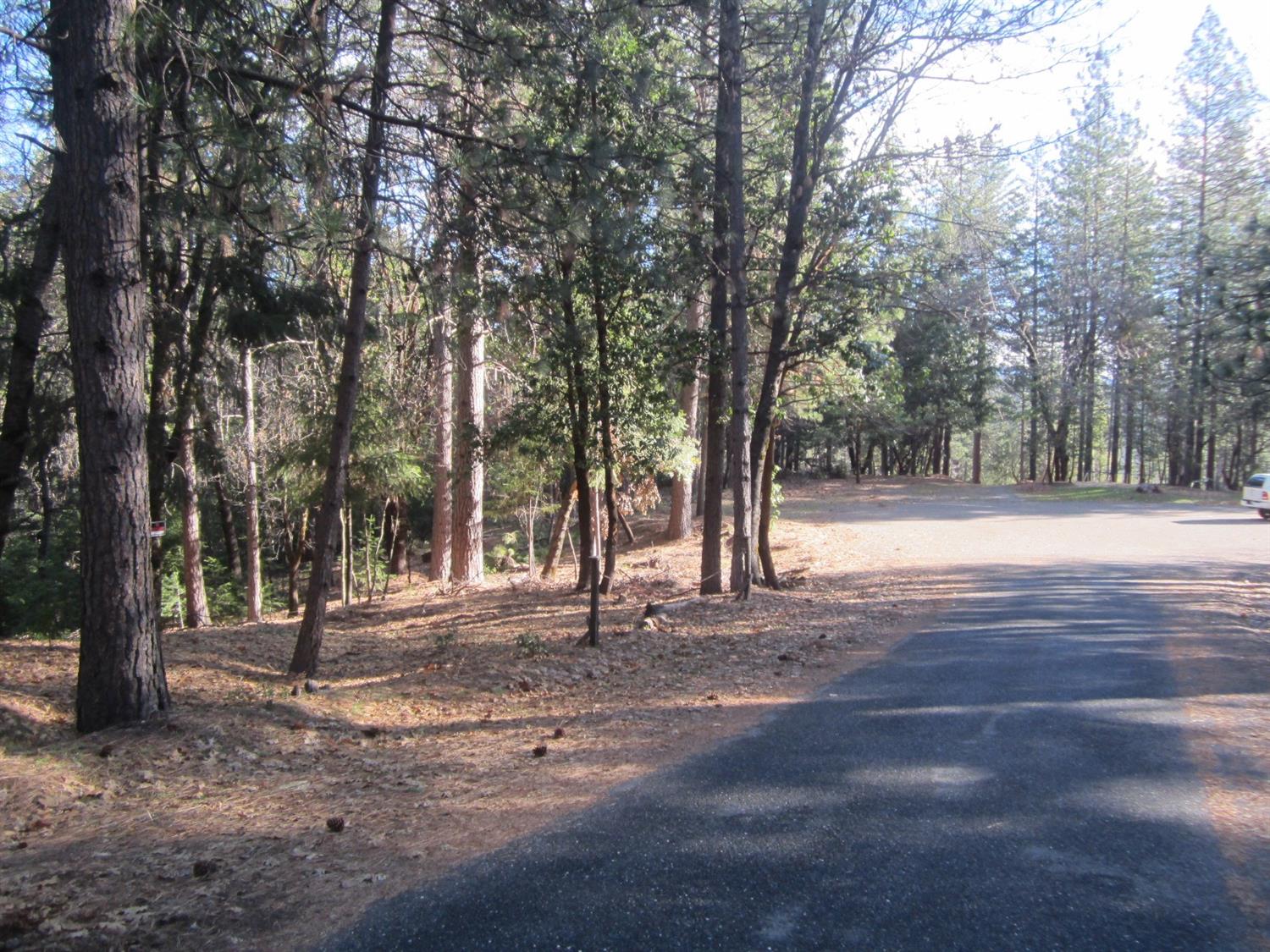 Photo of 3223 Morton Ct in Placerville, CA