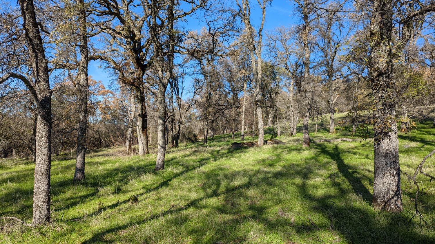 Beyers Lane, Grass Valley, California image 19