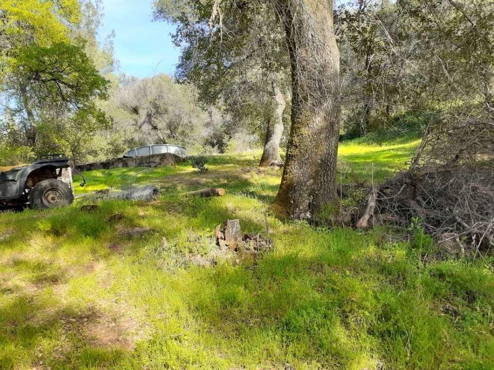 Vierra Road, Rackerby, California image 2