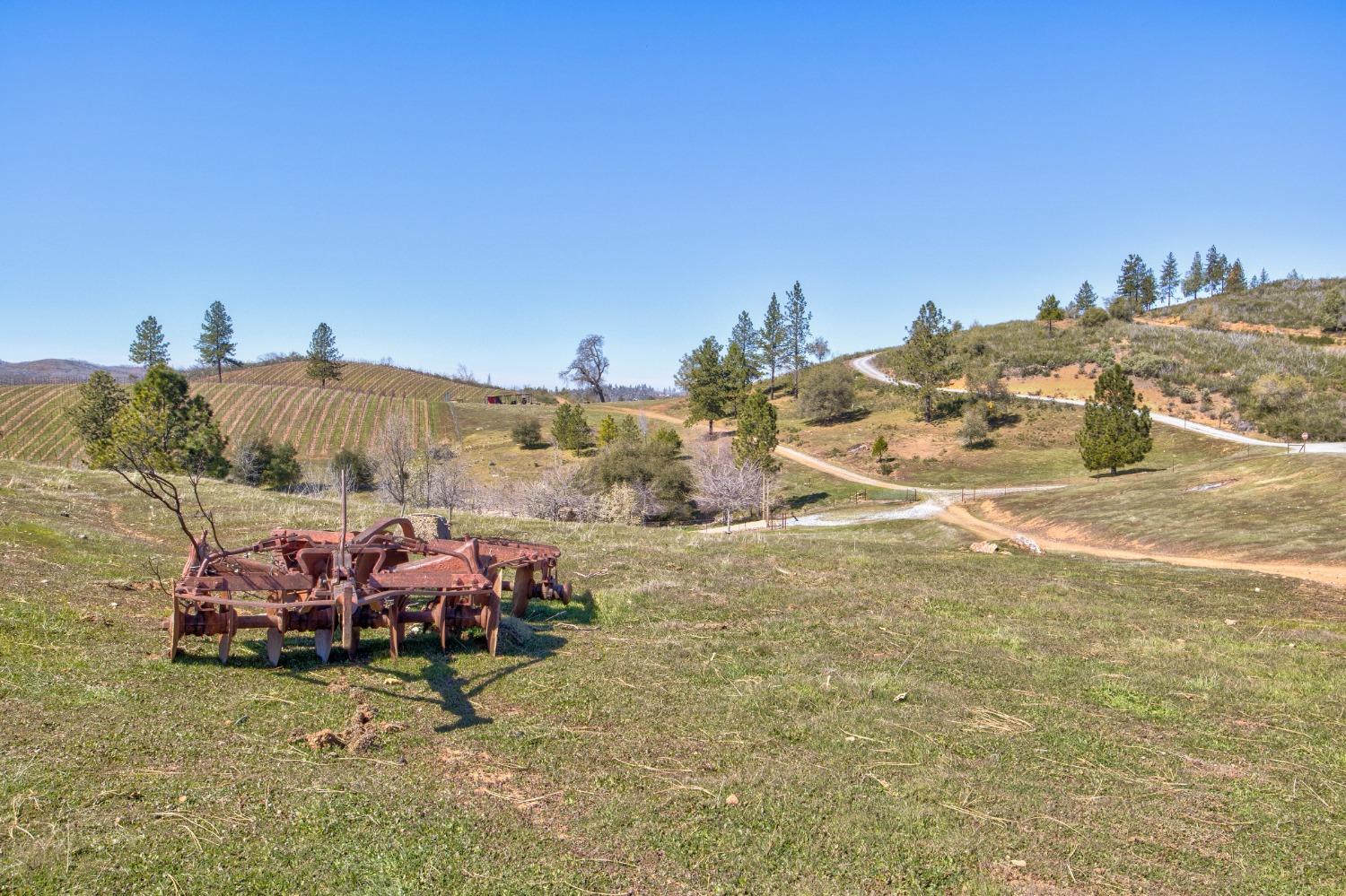 Mountain Ranch Road, Mountain Ranch, California image 19