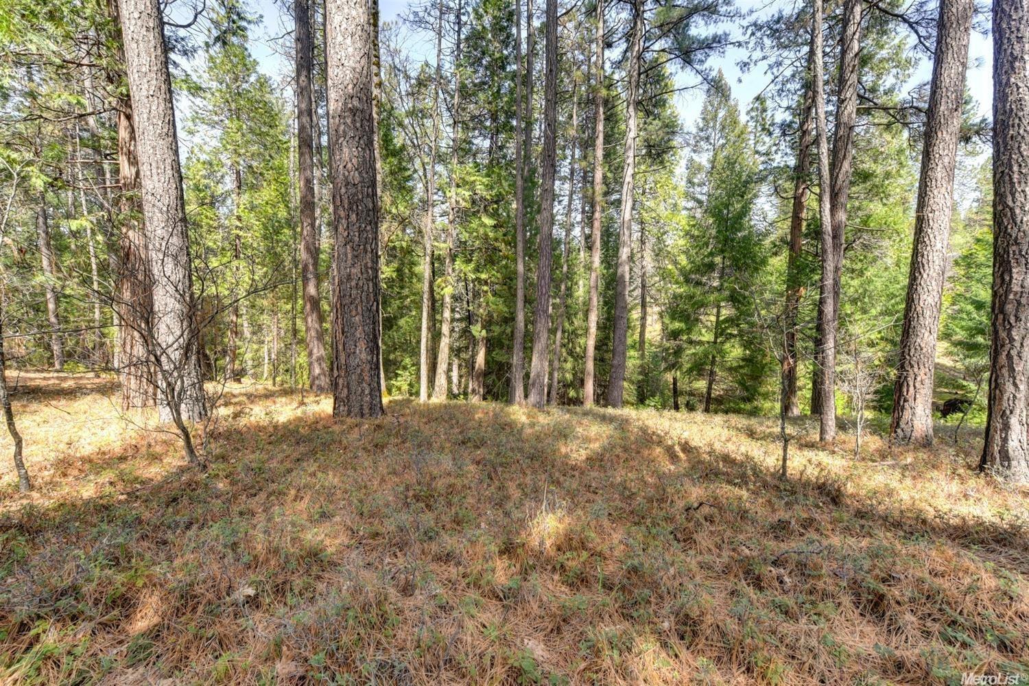 Photo of 4365 Fairglade Rd in Placerville, CA